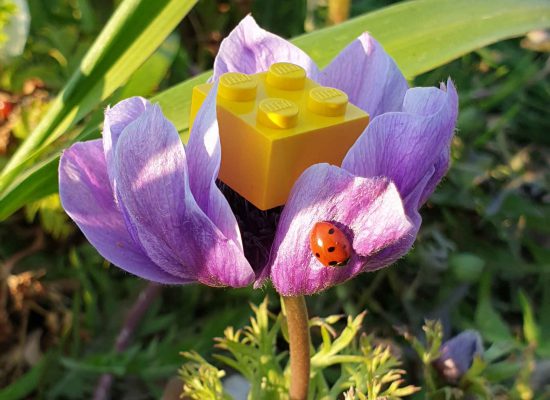 Bioplastik – nachhaltiges Spielen mit Klemmbausteinen?