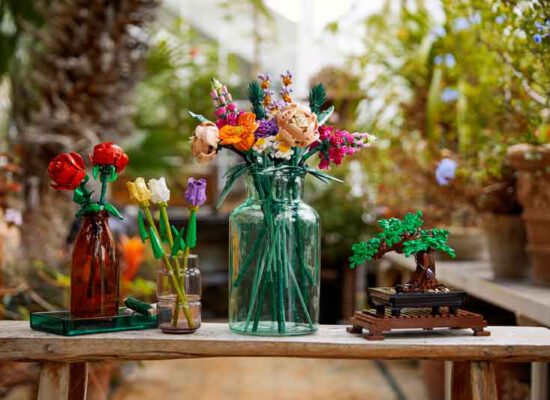 LEGO® News: Botanical Collection als 18+-Serie
