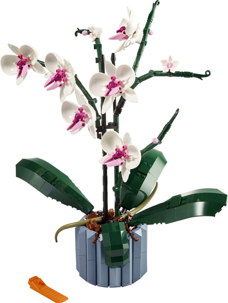 LEGO® Botanical Collection Orchidee
