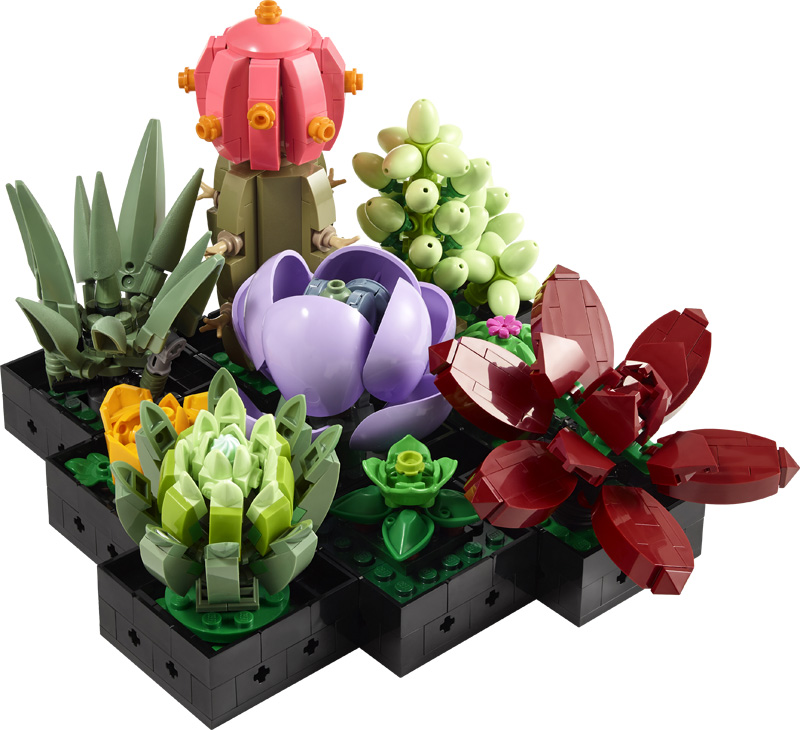 LEGO Botanical Collection Sukkulenten