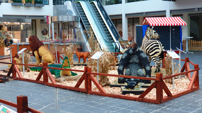 BrickLive Schenefeld Safari Display