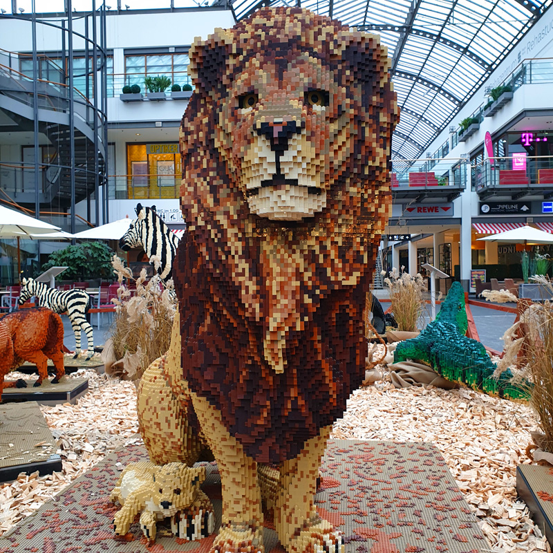 BrickLive Schenefeld Safari Löwe Vorderansicht