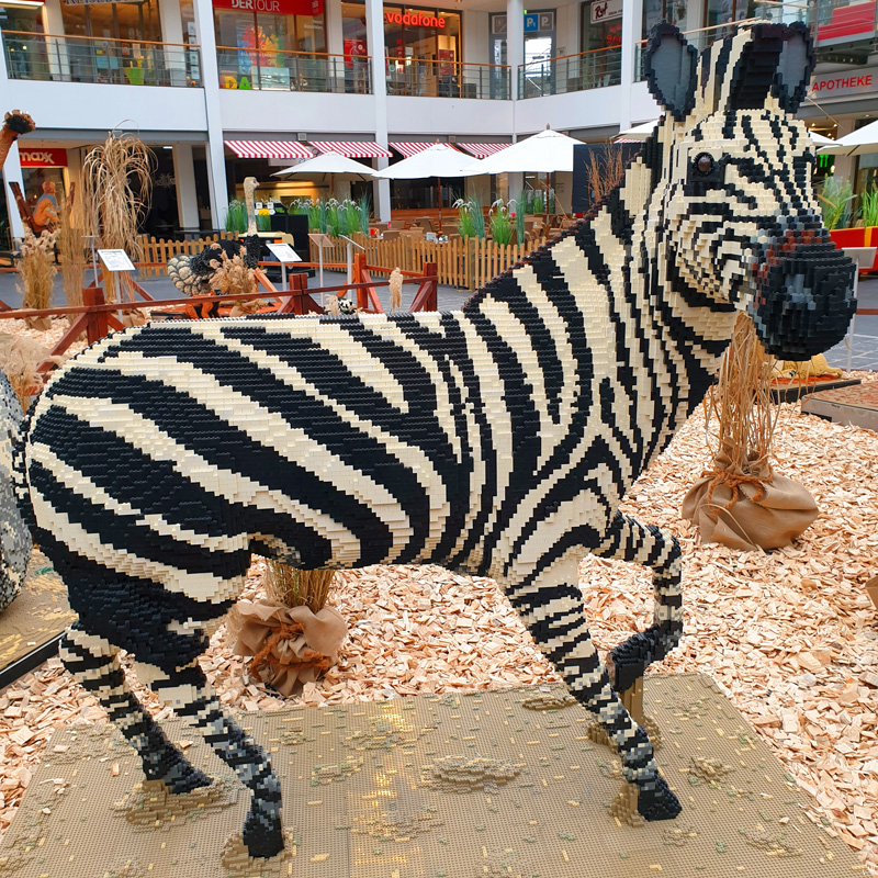 BrickLive Schenefeld Safari Zebra Komplettansicht