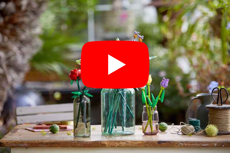 LEGO® News: Botanical Collection als 18+-Serie - News als Video