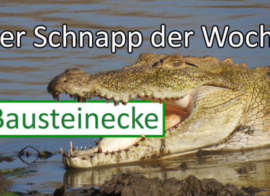 Reduzierte Sets bei der Bausteinecke