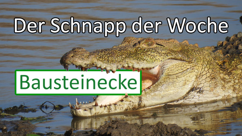 Krokodil mit Logo Bausteinecke und Schriftzug "Schnapp der Woche"