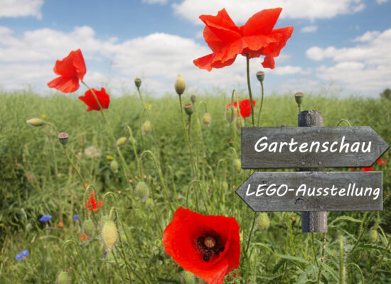 LEGO Dauerausstellung der "Lauter Steine e.V." in der Gartenschau Kaiserslautern 2023: Alle Infos