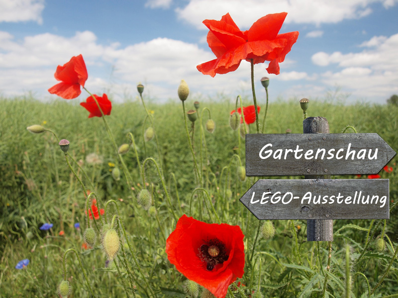 LEGO Ausstellung Lauter Steine Gartenschau Kaiserslautern Titel