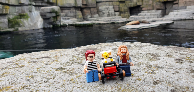 Steine Kanal unterwegs Tierpark Hagenbeck Walrossanlage mit unseren LEGO Sigfigs