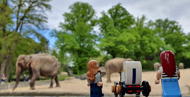 Steine Kanal unterwegs Tierpark Hagenbeck Elefanten Außenanlage mit LEGO Sigfigs