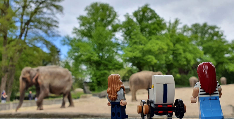 Steine Kanal unterwegs Tierpark Hagenbeck Elefanten Außenanlage mit LEGO Sigfigs