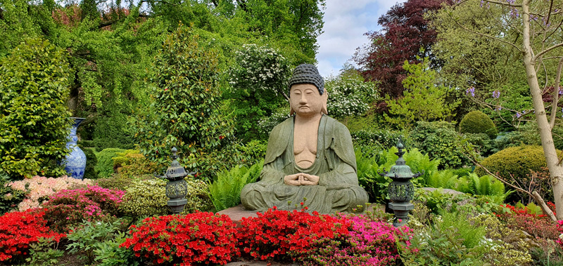 Steine Kanal unterwegs Tierpark Hagenbeck japanischer Garten Buddha