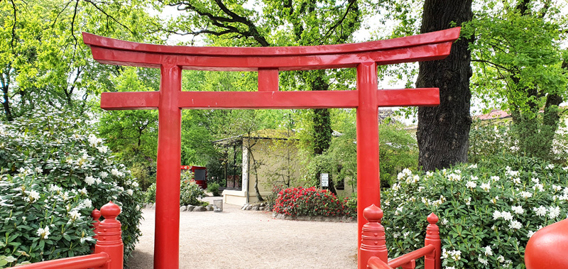 Steine Kanal unterwegs Tierpark Hagenbeck japanischer Garten Tor