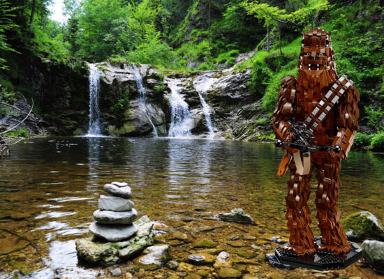 LEGO® Star Wars Chewbacca™ 75371 vorgestellt