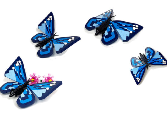 Kazi Insektenserie - Schmetterling - (KY80042) Review
