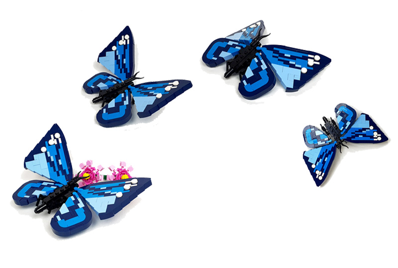 Kazi Insektenserie Schmetterling KY80042 Titel