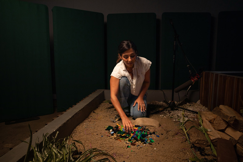 LEGO® Ideas Insektensammlung 21342 Green Noise Playlist Sanaa Kelley
