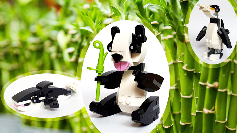 LEGO Creator Polybag Pandabär 30641 Titel