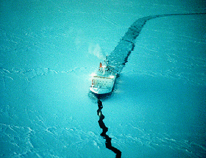 Forschungsschiff Polarstern Original