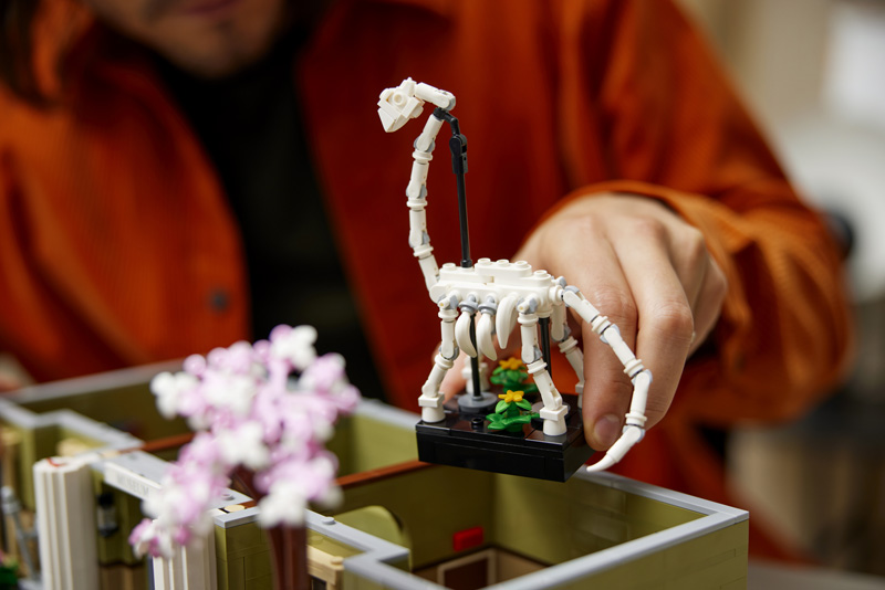 LEGO Naturhistorisches Museum 10326 Lifestyle Dino-Skelett