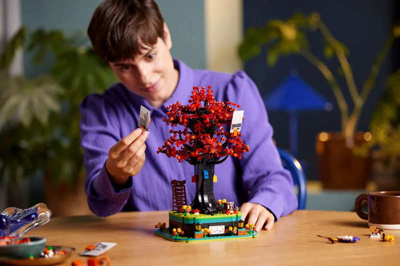 LEGO Familienbaum 21346 Lifestyle Set wird aufgebaut