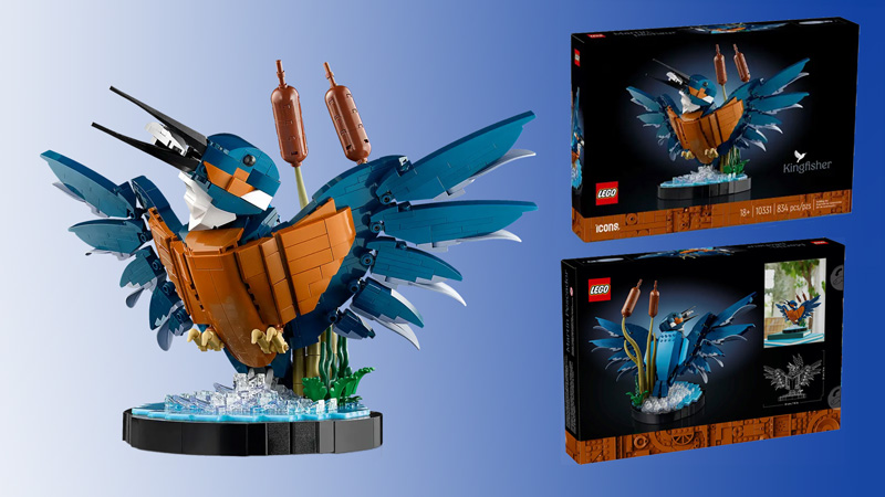 LEGO Eisvogel 10331 Titel