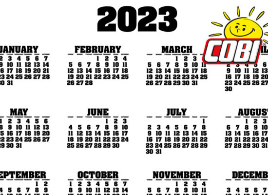 COBI Jahresrückblick 2023: die besten Neuerscheinungen, Kontroversen und Mehr