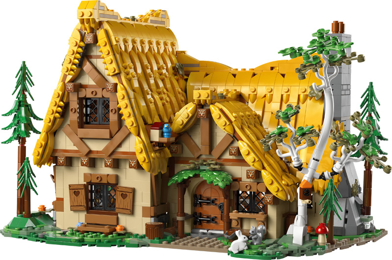 LEGO Schneewittchens Hütte 43242 Set komplett ohne Minifiguren