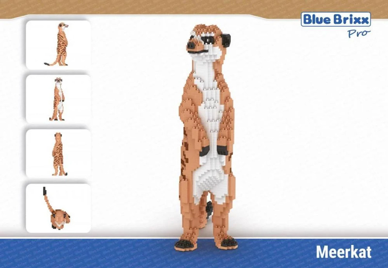 BlueBrixx Tiere Erdmännchen 107664 Box Back