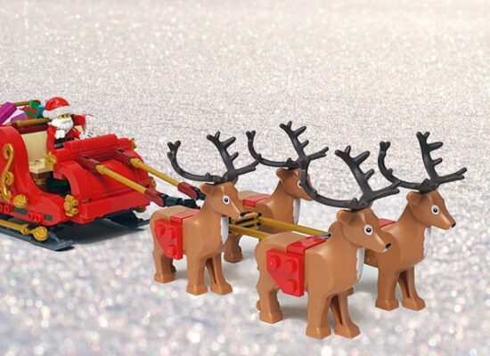LEGO Schlitten des Weihnachtsmanns 40499 Review