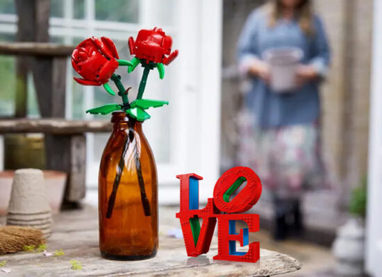 Klemmbaustein-Geschenke zum Valentinstag