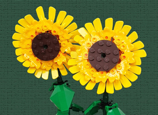 LEGO Sonnenblumen 40524 Review