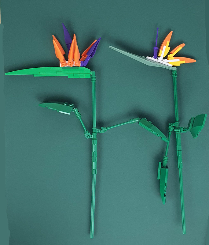 Build-it tropischer Blumenstrauß Pflanzen einzeln
