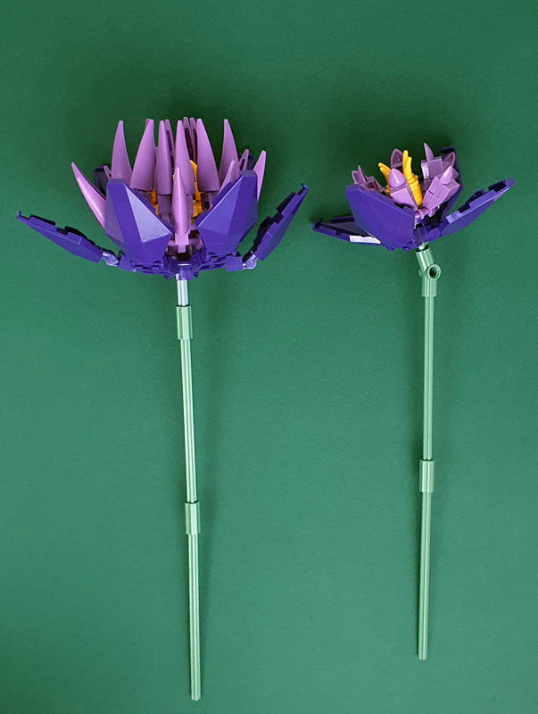 Build-it tropischer Blumenstrauß Pflanzen einzeln