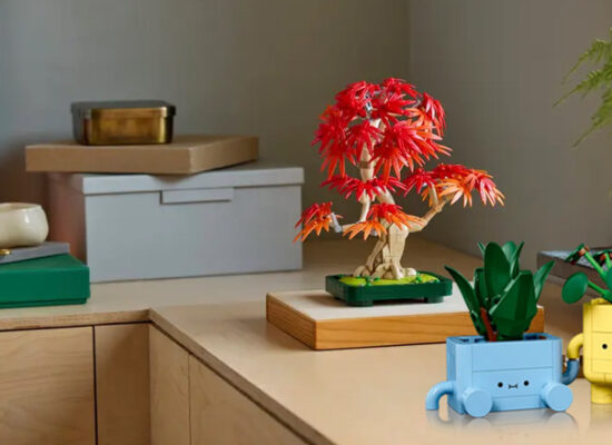 LEGO Botanicals: Roter Ahorn 10348 und Fröhliche Pflanzen 10349 neu ab Juni 2025