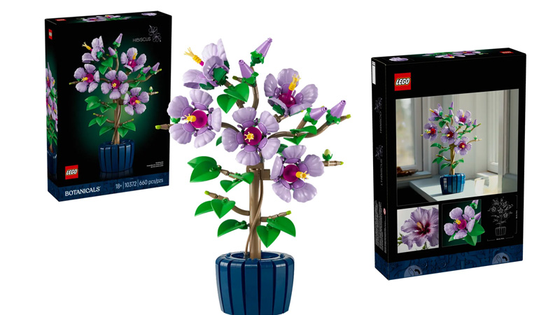 LEGO 10372 Hibiskus Box