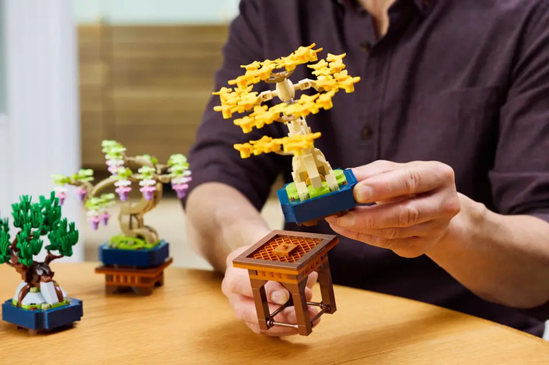 LEGO Botanicals Mini Bonsais 10373 Lifestyle