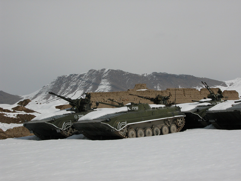 BMP Panzer Original