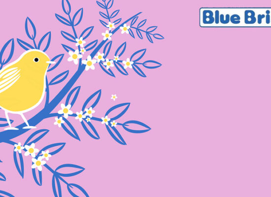 BlueBrixx stellt neue Prototypen kommender Vogel-Sets vor