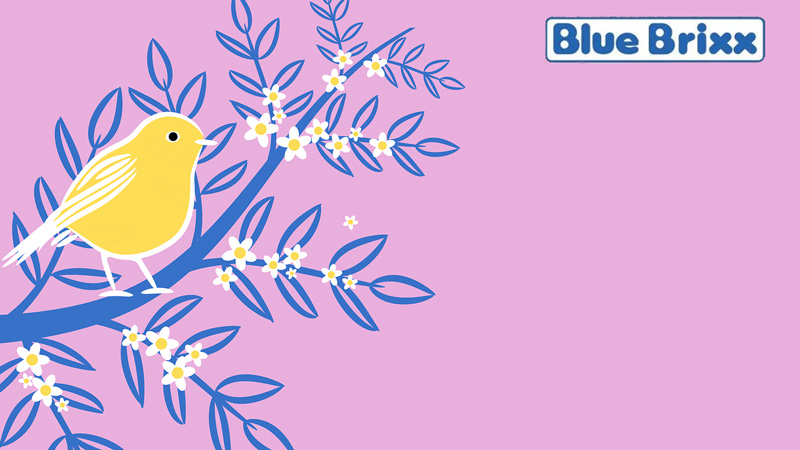 BlueBrixx neue Vögel Prototypen Titel