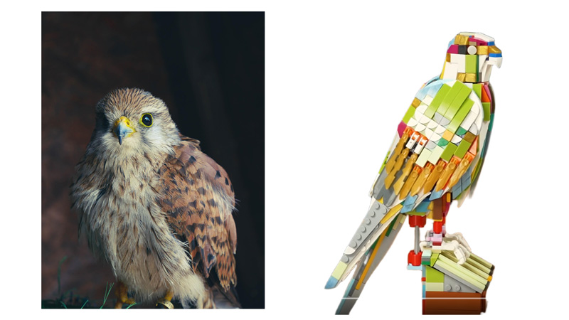 BlueBrixx Turmfalke Original und Prototyp