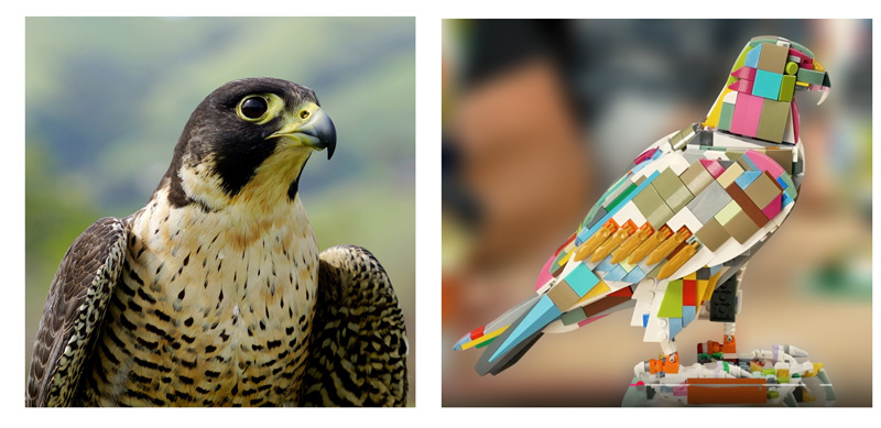 BlueBrixx Wanderfalke Original und Prototyp