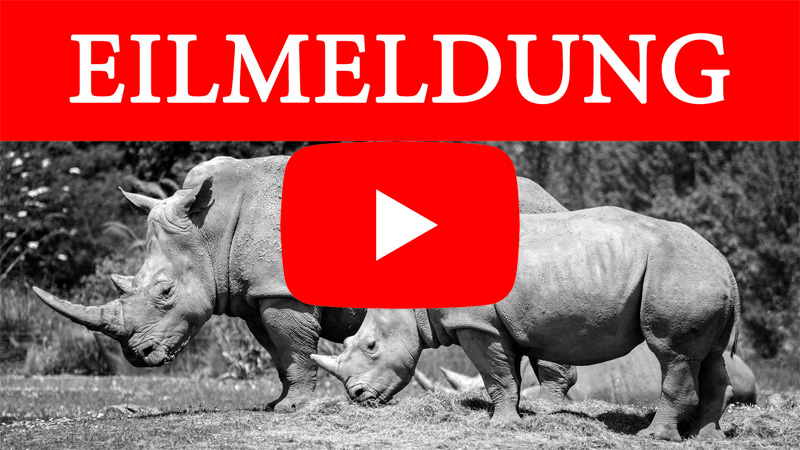 COBI Panzerjäger Nashorn Limited Edition 2662 Video