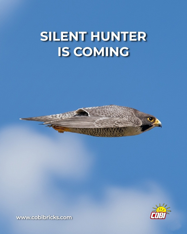 Northrop B-2 Spirit Teaser