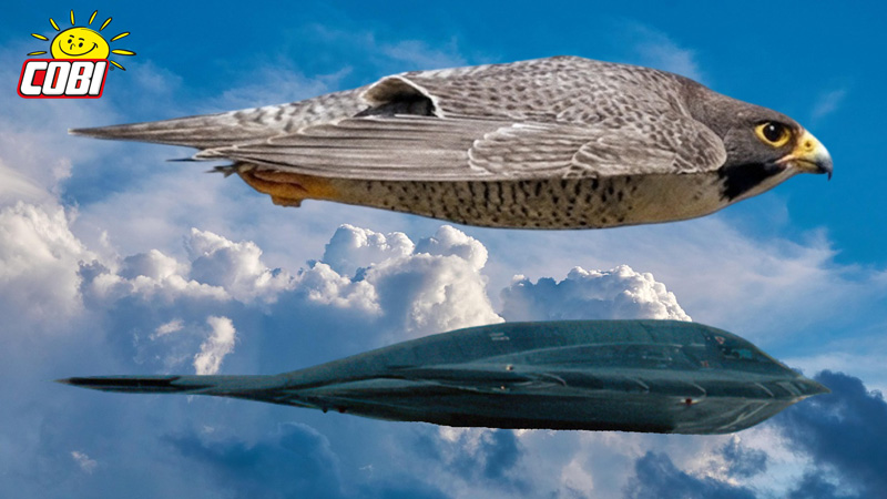 Northrop B-2 Spirit COBI Titel