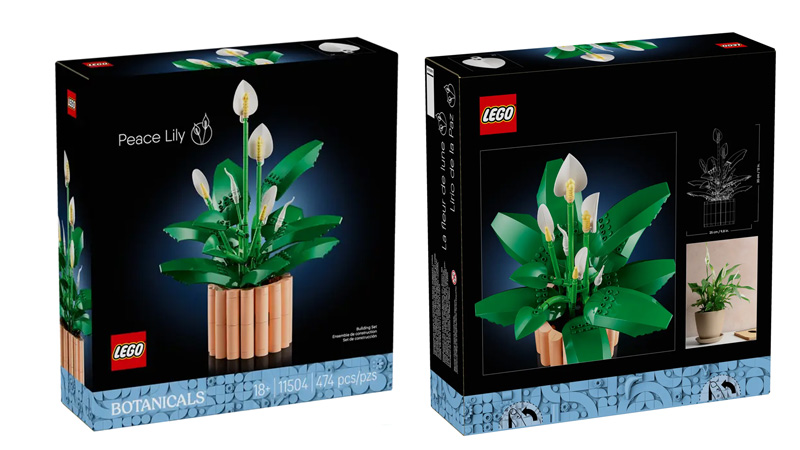 LEGO 11504 Friedenslilie Box
