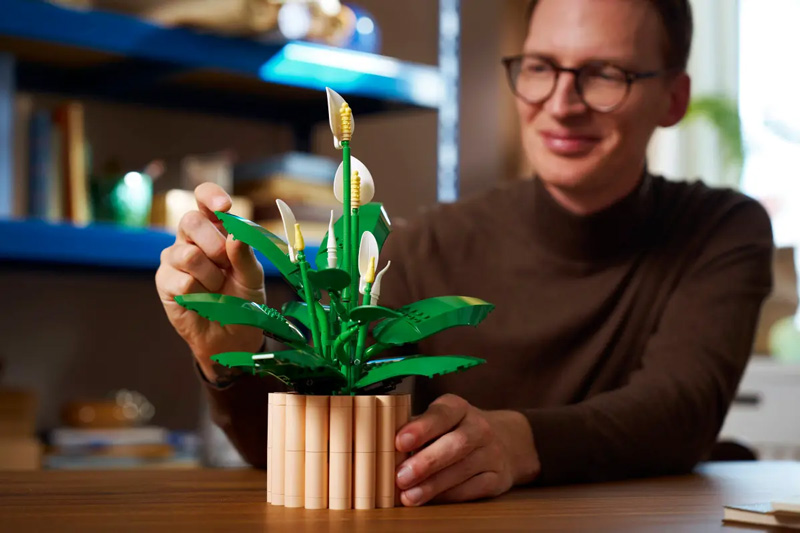 LEGO 11504 Friedenslilie Lifestyle