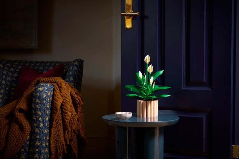 LEGO 11504 Friedenslilie Lifestyle