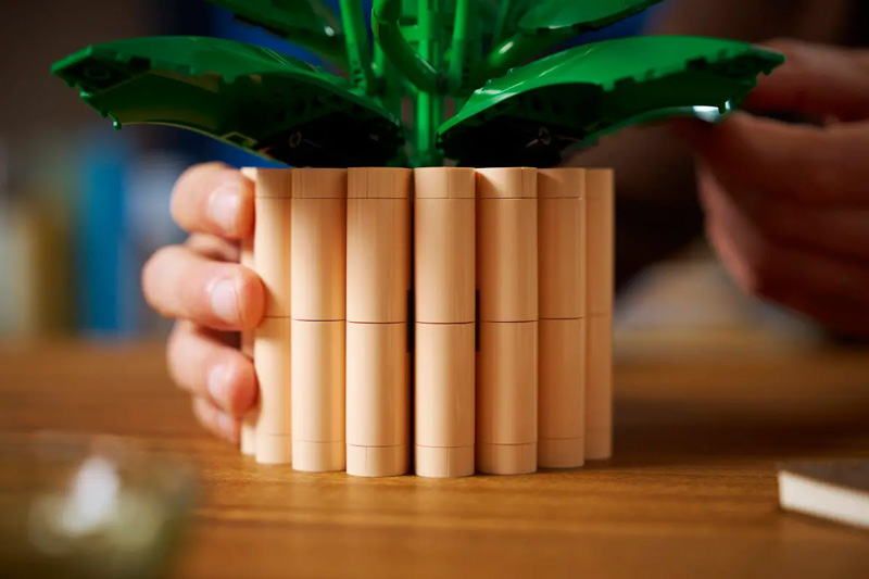 LEGO 11504 Friedenslilie Lifestyle