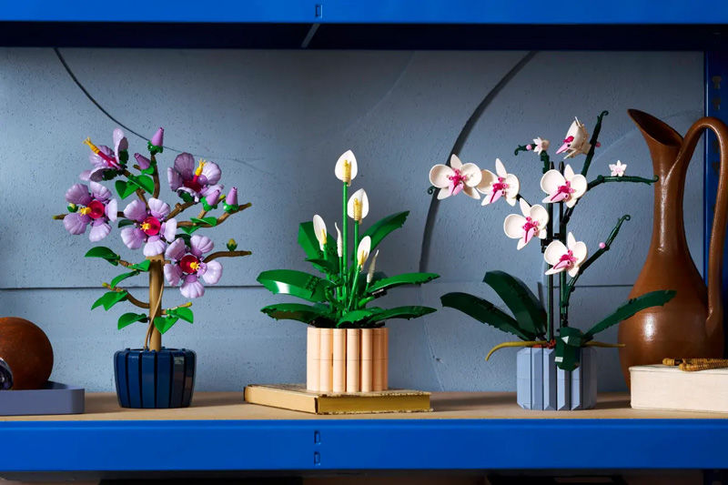 LEGO 11504 Friedenslilie Lifestyle